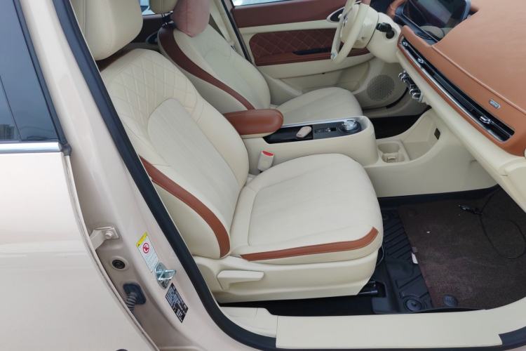 Used ORA Good Cat 2022 Morandi Edition 400km Standard Range Luxury Version Lithium Iron Phosphate Right Front Seat