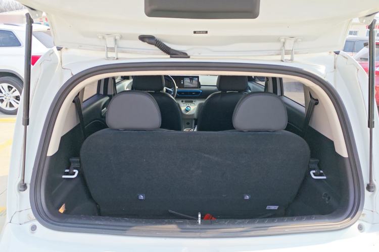 Used ORA White Cat 2020 401 km Flagship Version