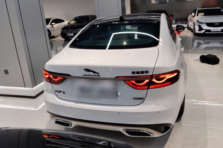 Used Jaguar XFL 2024 2.0T P300 Four-Wheel Drive Flagship Sport Gold Edition