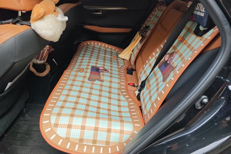 Used Lexus NX 2020 300h Front-Drive FENGSHANG Version China VI Standard
