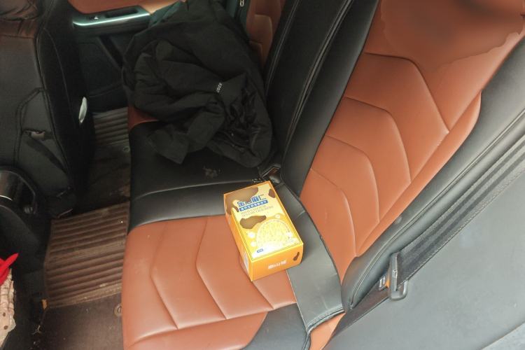 Used Volvo S60 2018 S60L T3 Smart Progress Edition Left Rear Seat