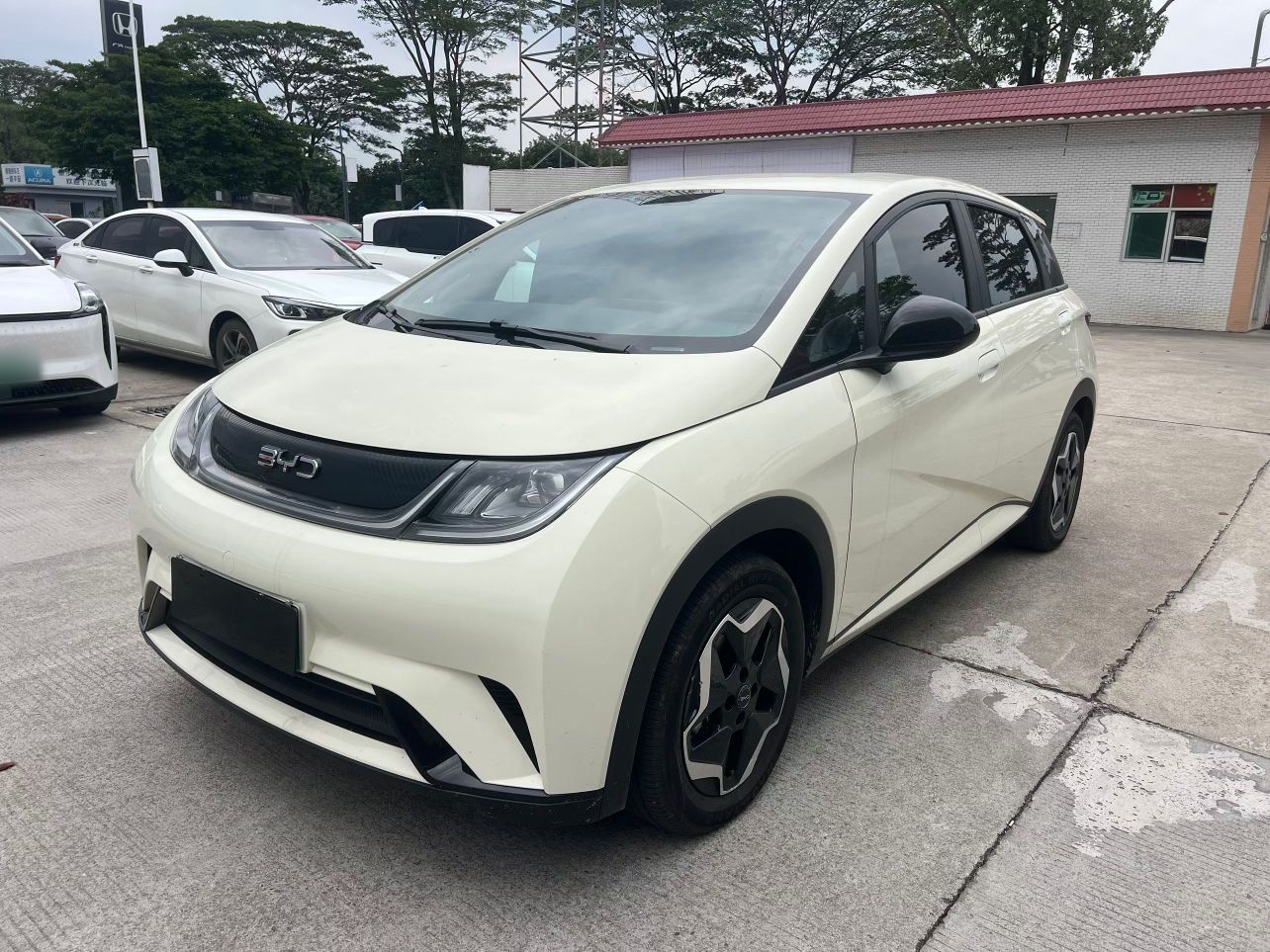 Parte inferior delantera