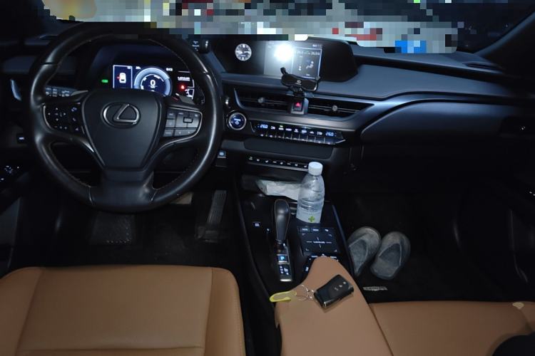 Used Lexus UX New Energy 2020 300e Pure·Joy Edition