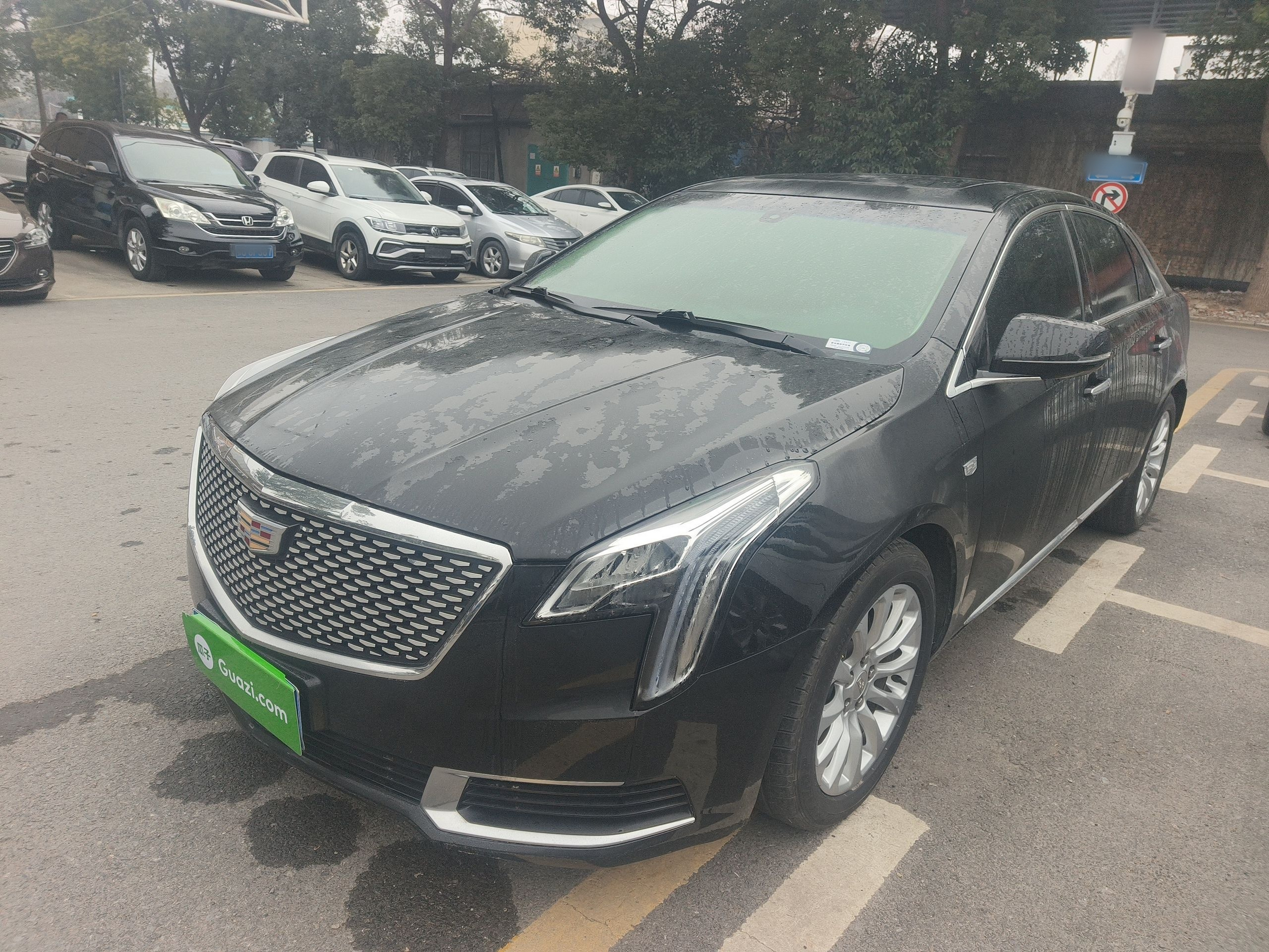 Under Front Bumper