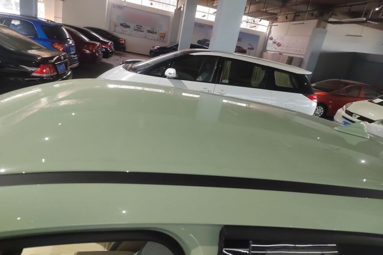 Used ORA Good Cat 2023 401 km Standard Range Luxury Version Lithium Iron Phosphate