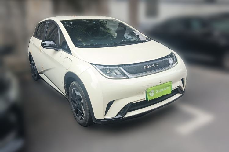 Used BYD Dolphin 2021 405 km Free Version
