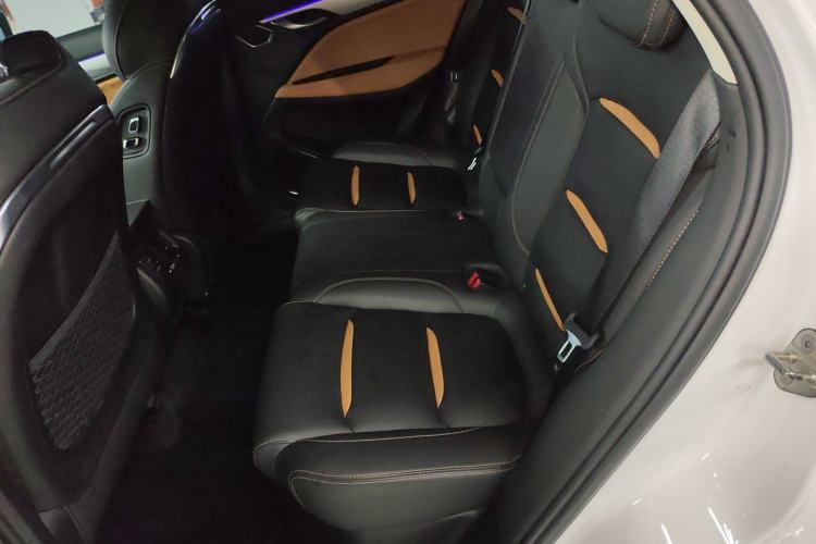Used Geely Auto Monjaro 2019 300T YAOXINGZHE Left Rear Seat