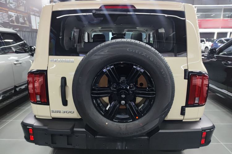 Used Tank 300 2025 2.0T Conqueror