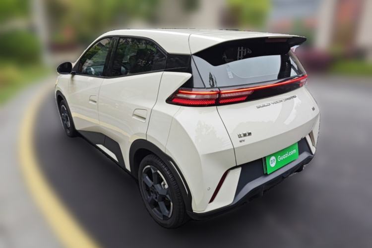 Used BYD Seagull 2023 Flying Edition Rear Left 45 Deg