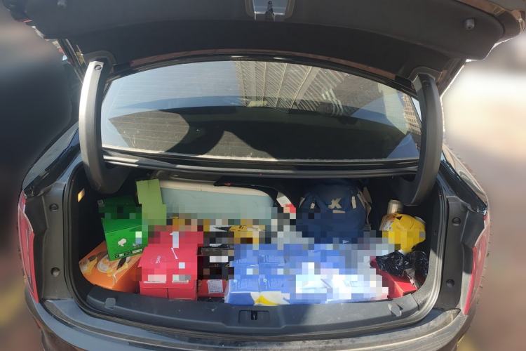 Used Hongqi E-QM5 2024 560km PLUS Trunk