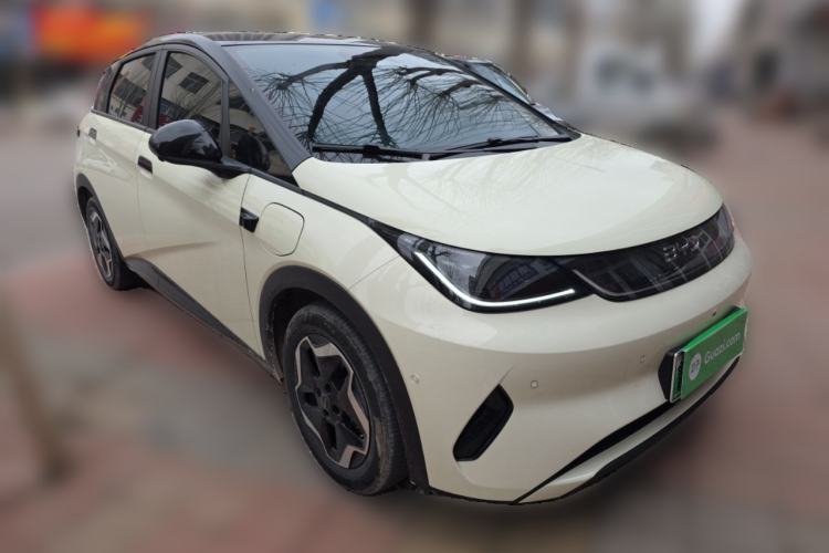 Used BYD Dolphin 2025 Smart Drive Version 420 km Freedom Edition
