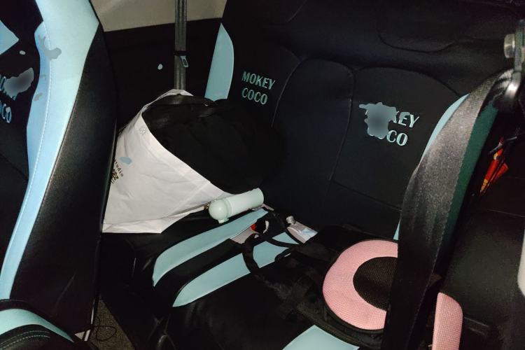 Used Chery QQ Little Ant 2021 200 000 Yuan Ant Fan Edition Energized Version Lithium Iron Phosphate 301 km Left Rear Seat