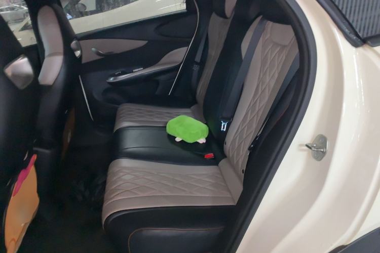 Used BYD Dolphin 2021 405 km Fashion Edition Left Rear Seat