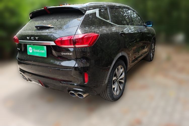 Used Wey VV6 2019 2.0T Two-Wheel-Drive Ultra-Luxury Version China VI Standard