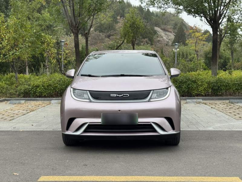 Used BYD Dolphin 2023 420 km Free Version — 14