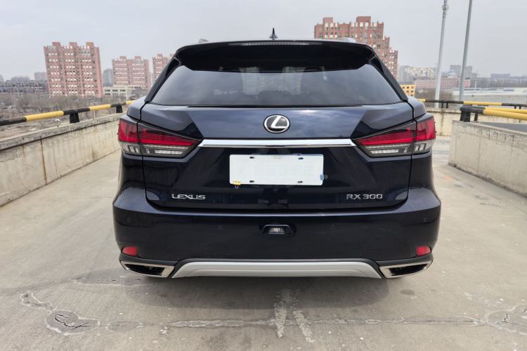 Used Lexus RX 2020 300 4x4 Elegant Edition China VI