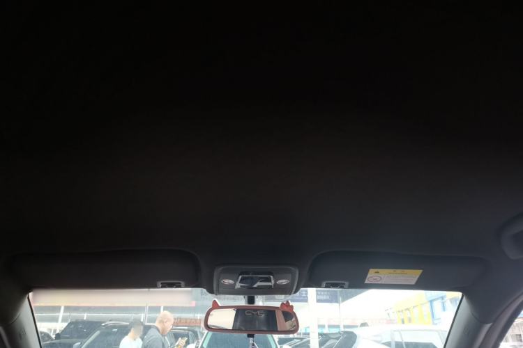 Used BYD Seagull 2023 Free Edition Headliner