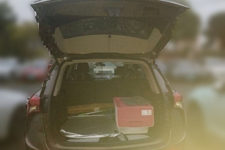 Used Buick Envision 2019 20T Two-Wheel Drive Leading Model China VI Standard