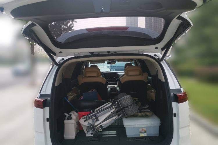 Used Kia Carnival 2021 2.0T Flagship Edition