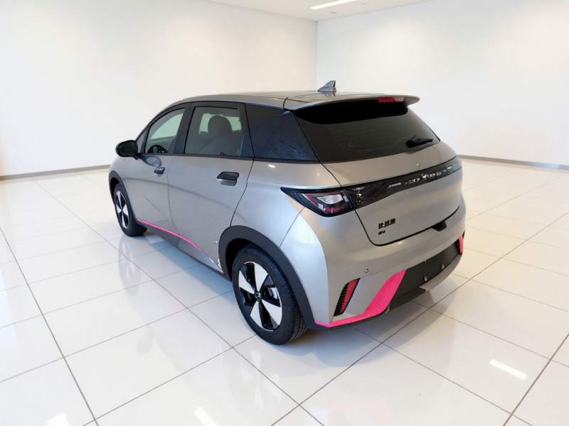 Used BYD Dolphin 2023 420 km Fashion Edition — 4