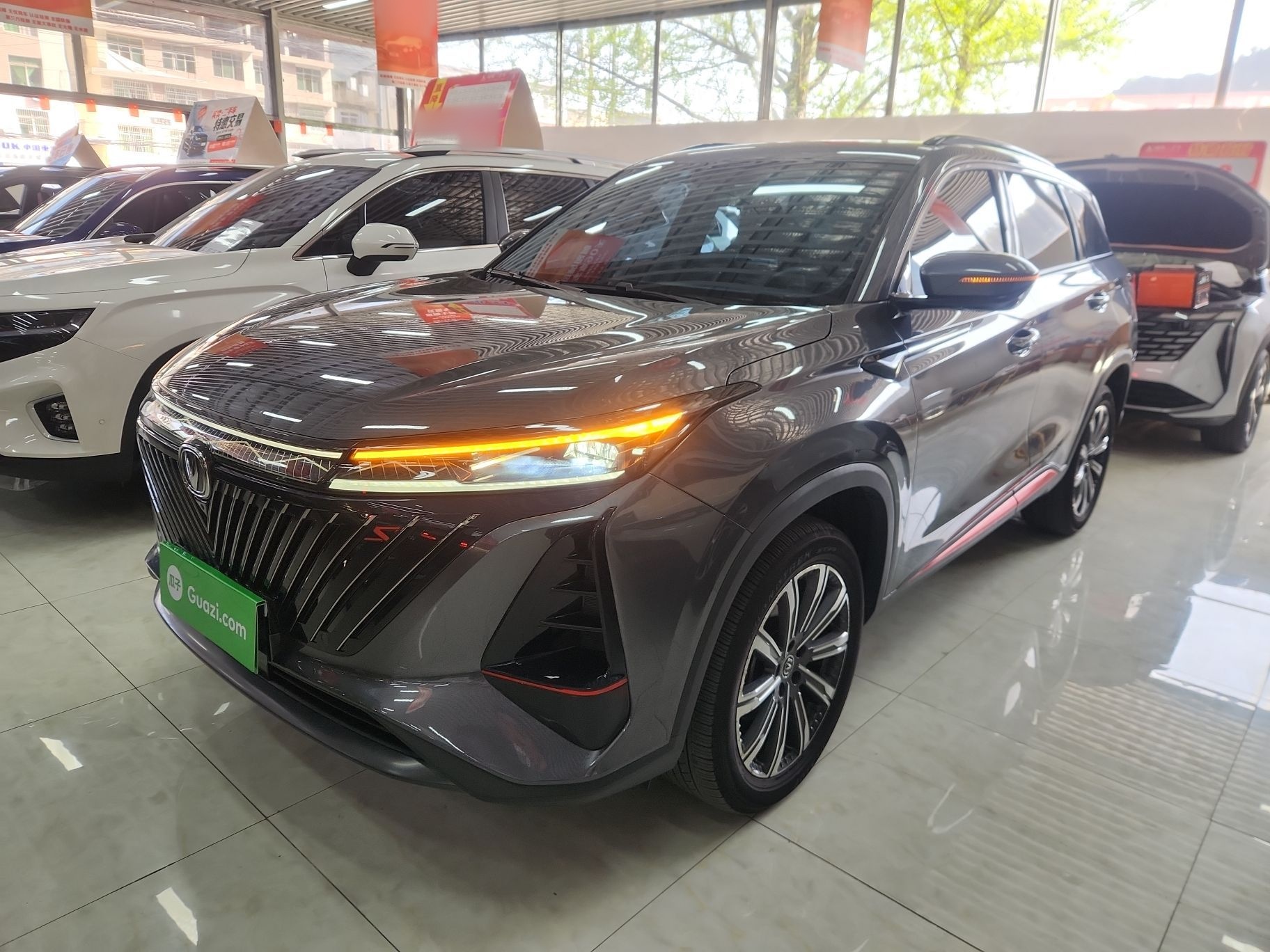 Parte inferior delantera