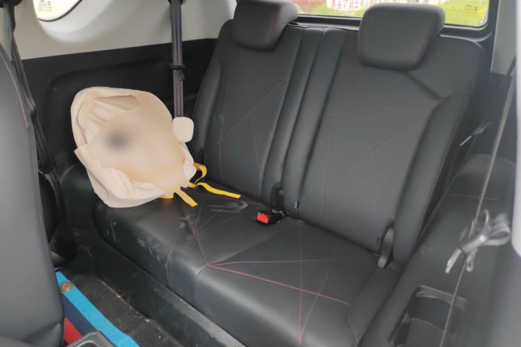 Used Chery Little Ant 2024 251km True Love Edition
