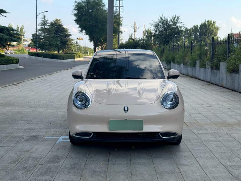 Used ORA Good Cat 2024 401 km Luxury Version — 33