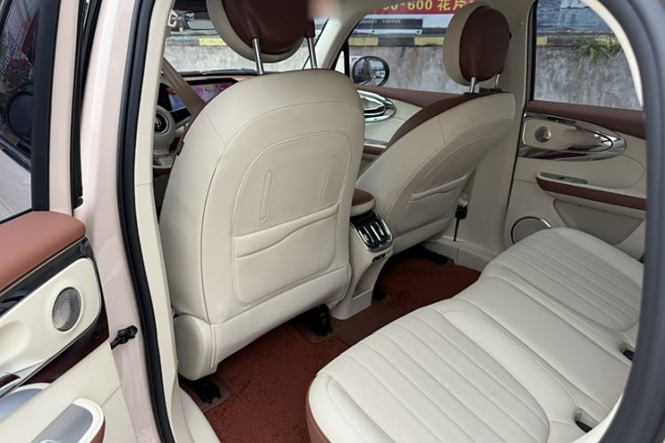 Used ORA Ballet Cat 2023 401 km Luxury Version
