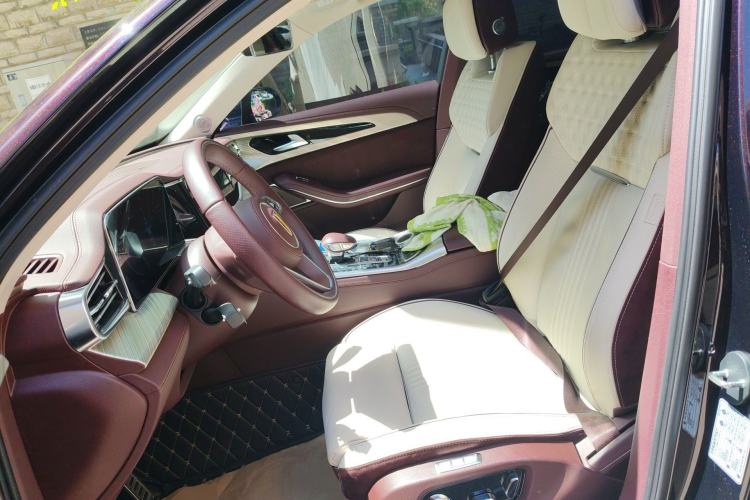 Used Hongqi H9 2020 2.0T Smart Connect Flagship Edition
