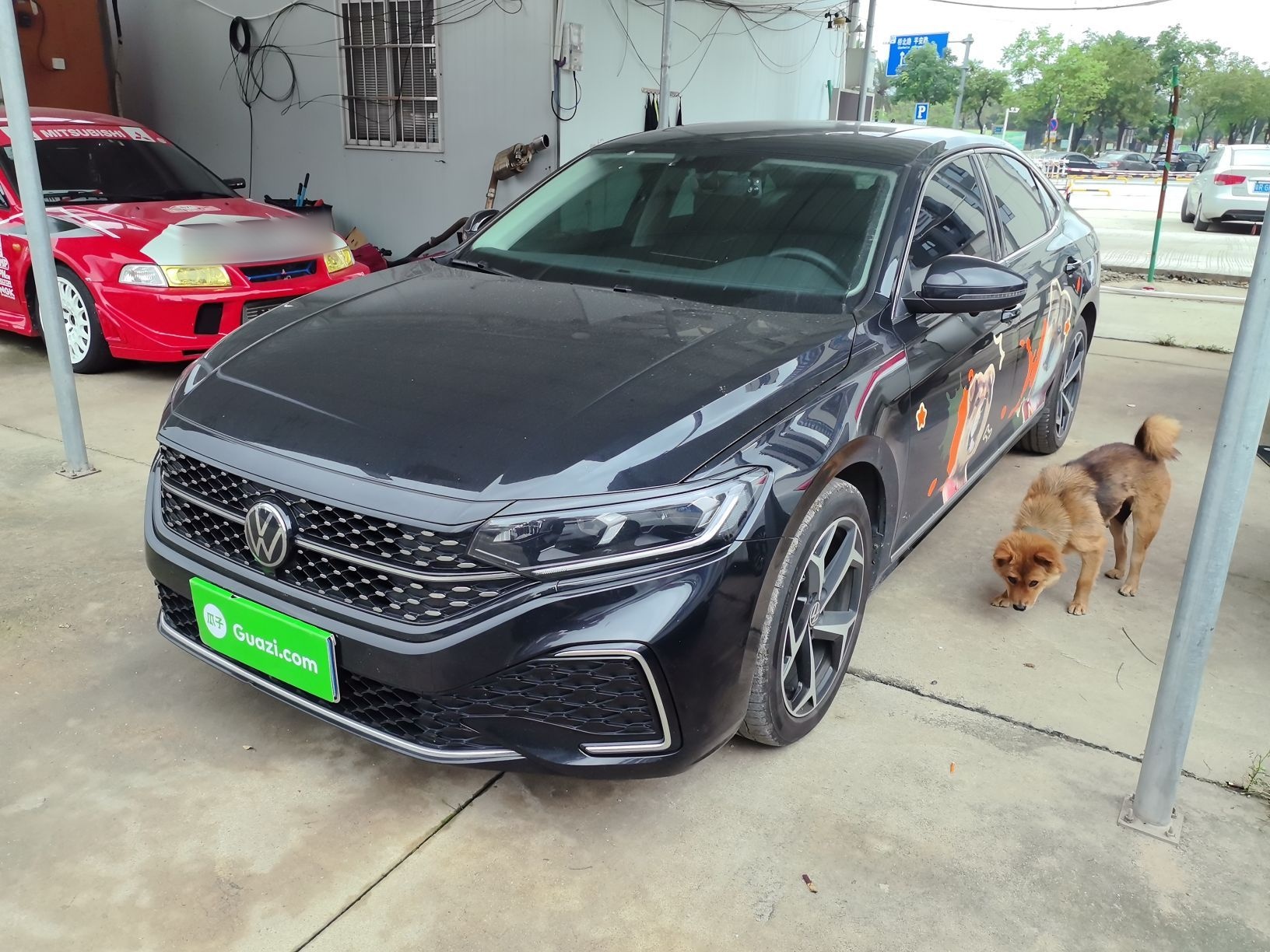 Parte inferior delantera