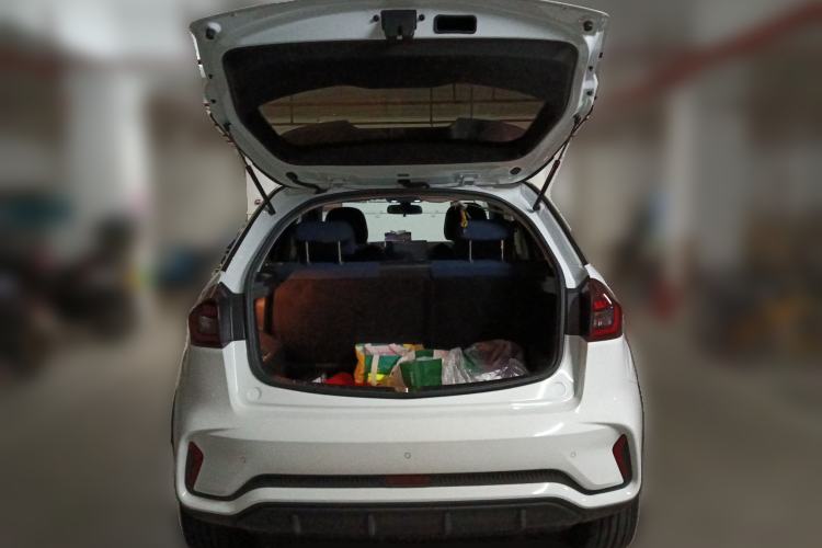 Used Geometry EX3 Kung Fu Cow 2021 Kungfu NiuNiu Trunk