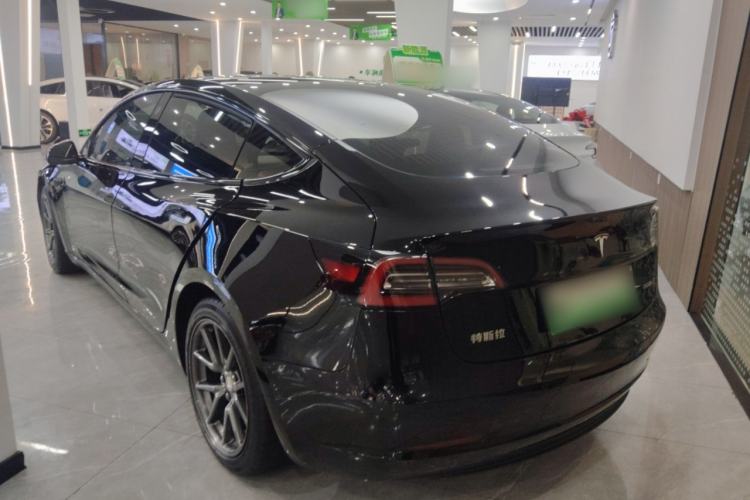 Used Tesla Model 3 2020 Standard Range Rear-Wheel Drive Upgraded Version Rear Left 45 Deg