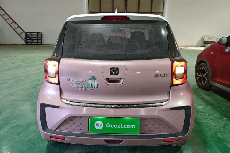 Used SOL E10X 2022 Flower Fairy Style Baby's Breath