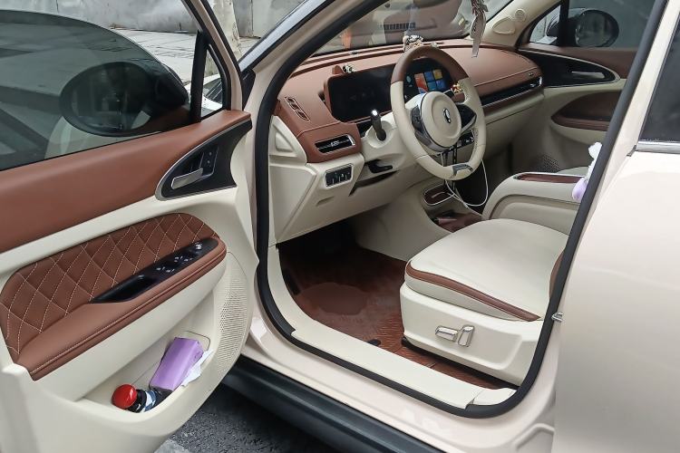 Used ORA Good Cat 2023 401 km Standard Range Luxury Version Lithium Iron Phosphate Driver Seat