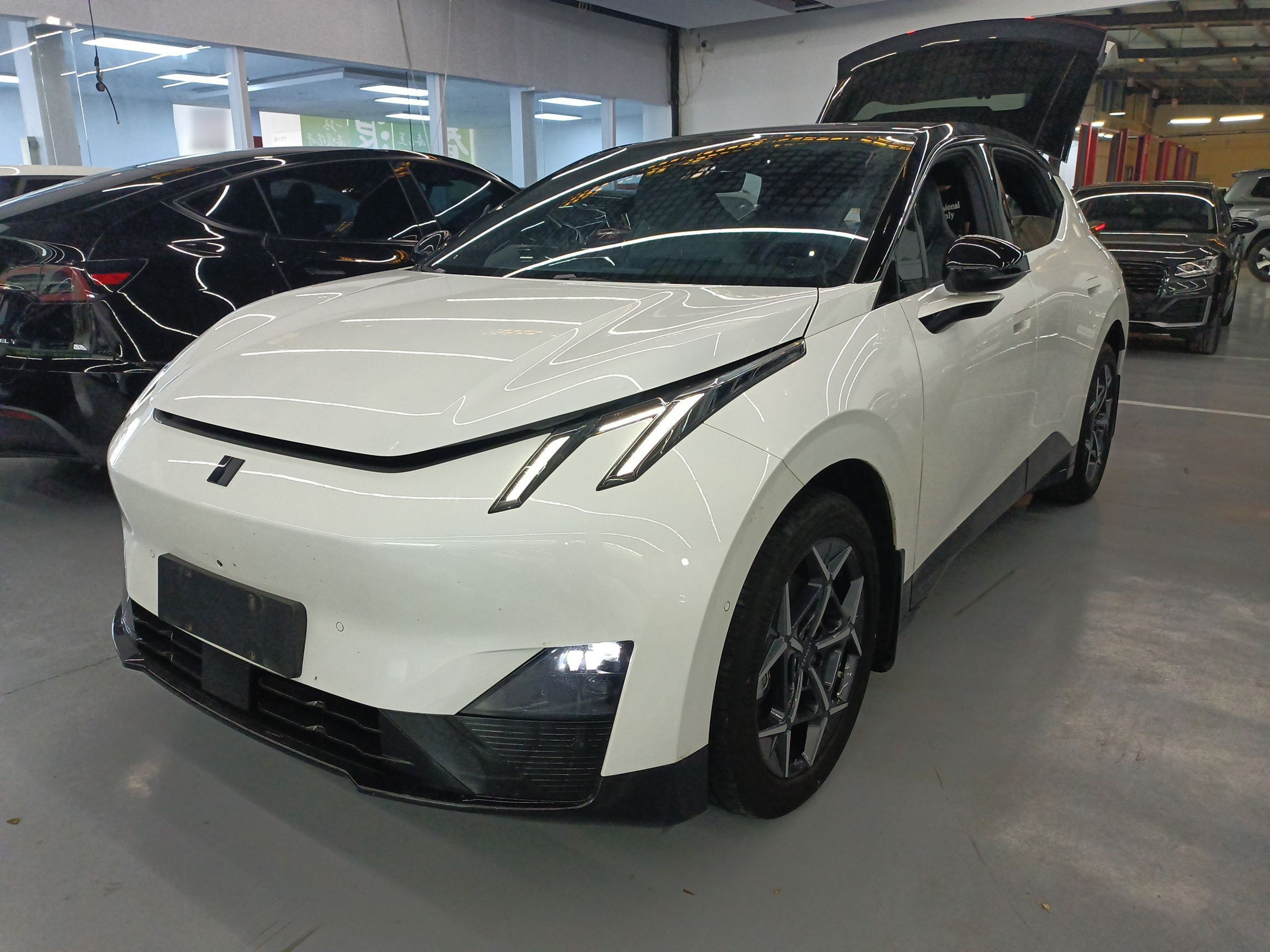 Parte inferior delantera