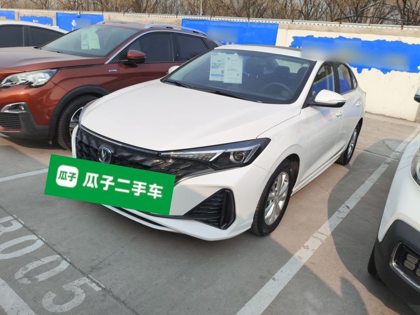 Parte inferior delantera