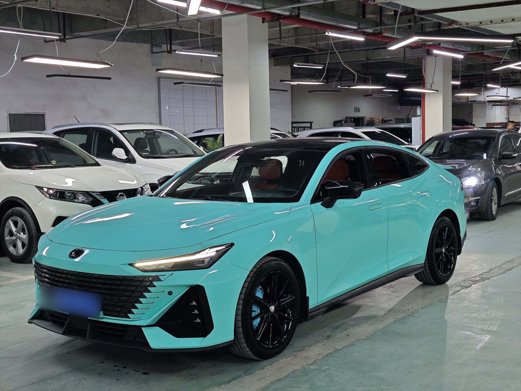 تحت مقدمة السيارة