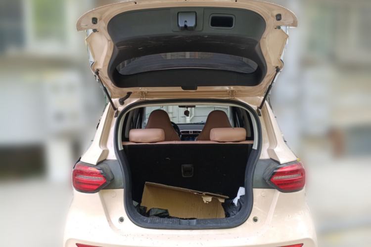 Used Leapmotor T03 2021 400 Lite Edition - Lithium-Ion Battery