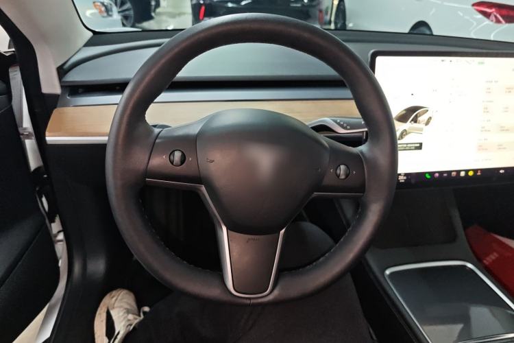 Used Tesla Model 3 2021 Revised Version Standard Range Rear-Wheel Drive Upgraded Edition 3D1