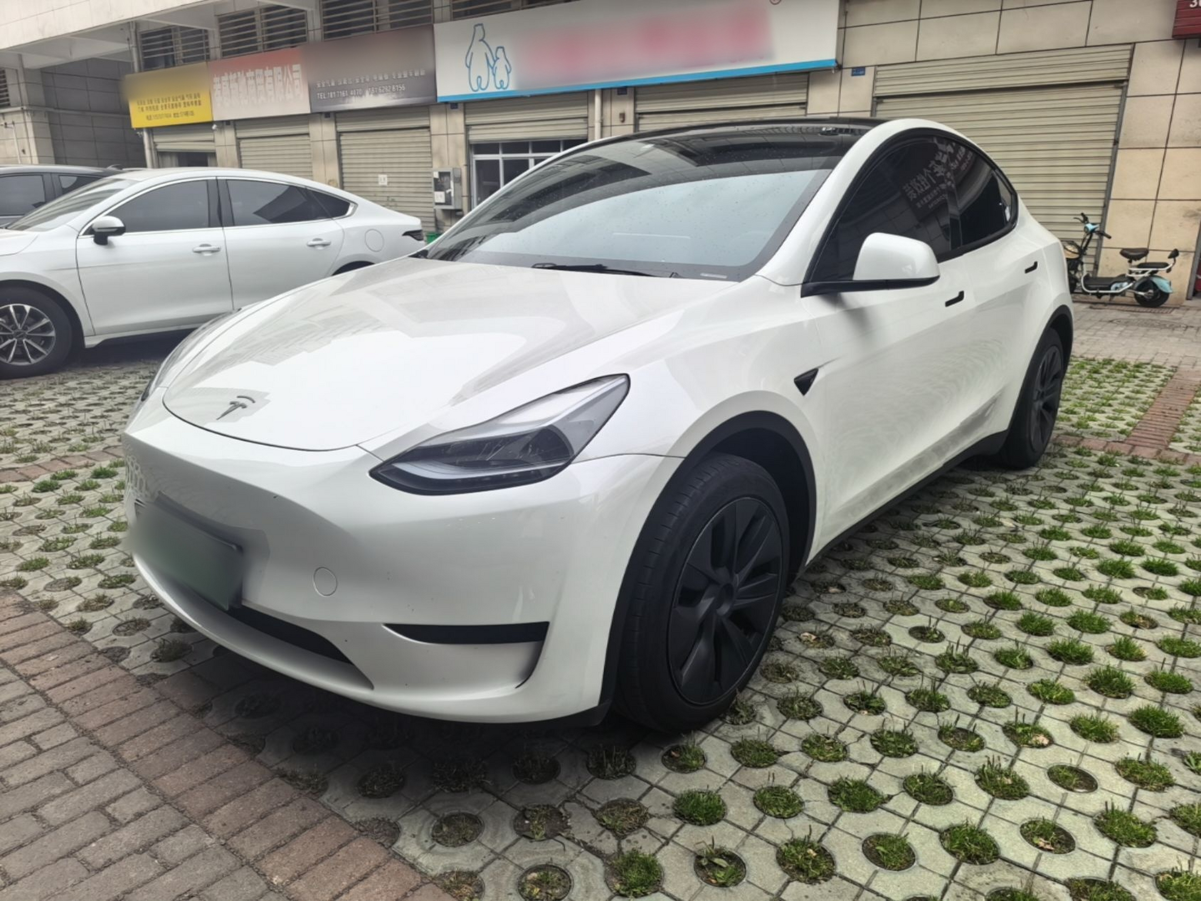 Under Front Bumper