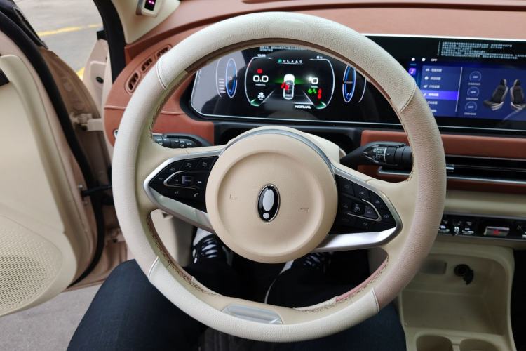 Used ORA Good Cat 2022 Morandi Edition 400km Standard Range Premium Version Lithium Iron Phosphate
