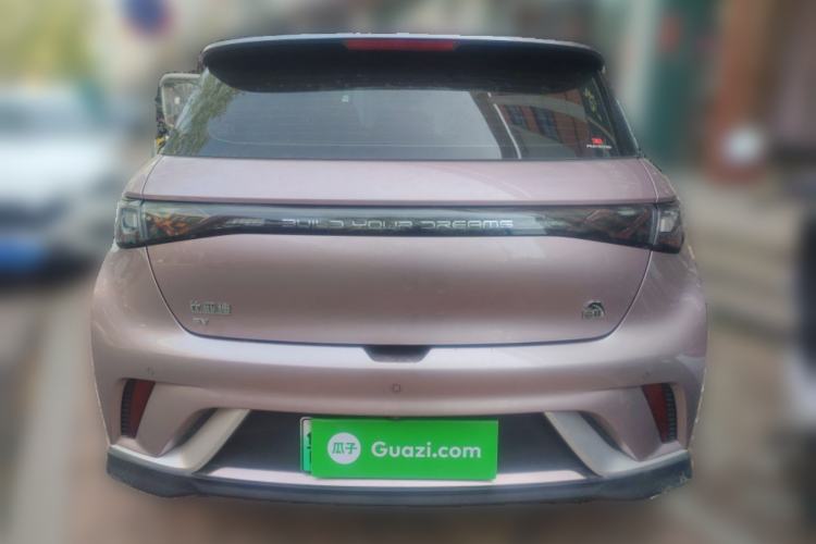 Used BYD Dolphin 2021 401km Knight Edition Rear