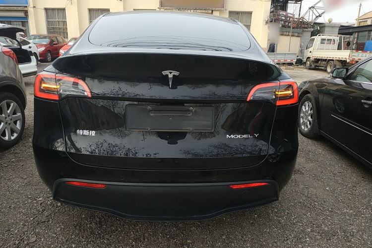 Used Tesla Model Y 2021 Standard Range Rear-Wheel Drive Version
