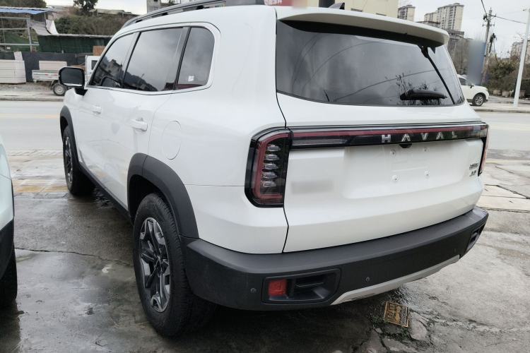 Used Haval DARGO 2024 2.0T DCT Chinese Rural Dog Edition