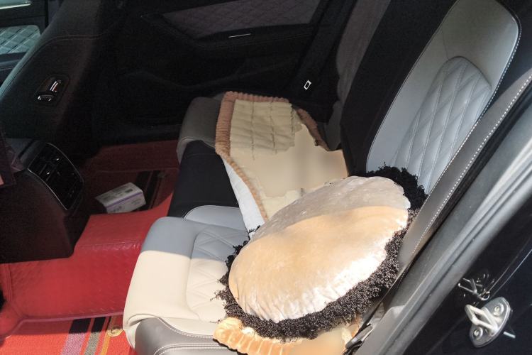 Used Volkswagen Magotan 2023 2 Million Units Limited Edition 330TSI DSG Leading Version Left Rear Seat