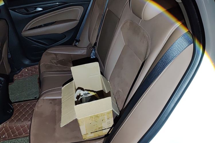 Used Buick Regal 2019 20T Elite Version China VI Standard
