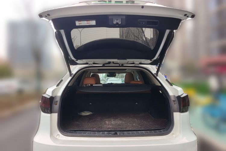 Used Lexus RX 2020 300 4x4 Elegant Edition China VI