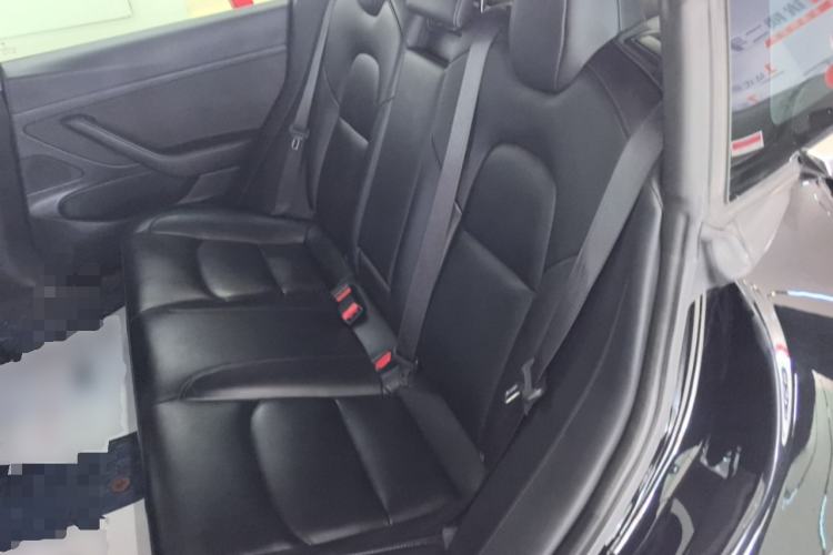 Used Tesla Model 3 2019 Standard Range Rear-Drive Upgraded Version Left Rear Seat