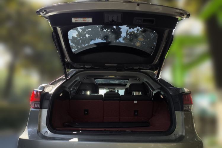 Used Lexus RX 2020 Facelifted 300 4x4 Elegant Edition