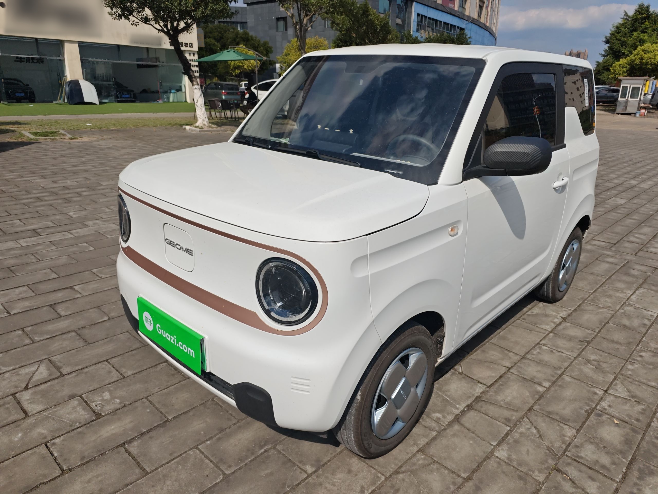 Parte inferior delantera